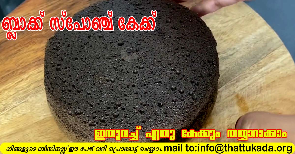 എളുപ്പത്തിൽ ഒരു Oreo Cake/Perfect Oreo Chocolate Cake Recipe/Oreo Biscuit  Cake in Malayalam - YouTube